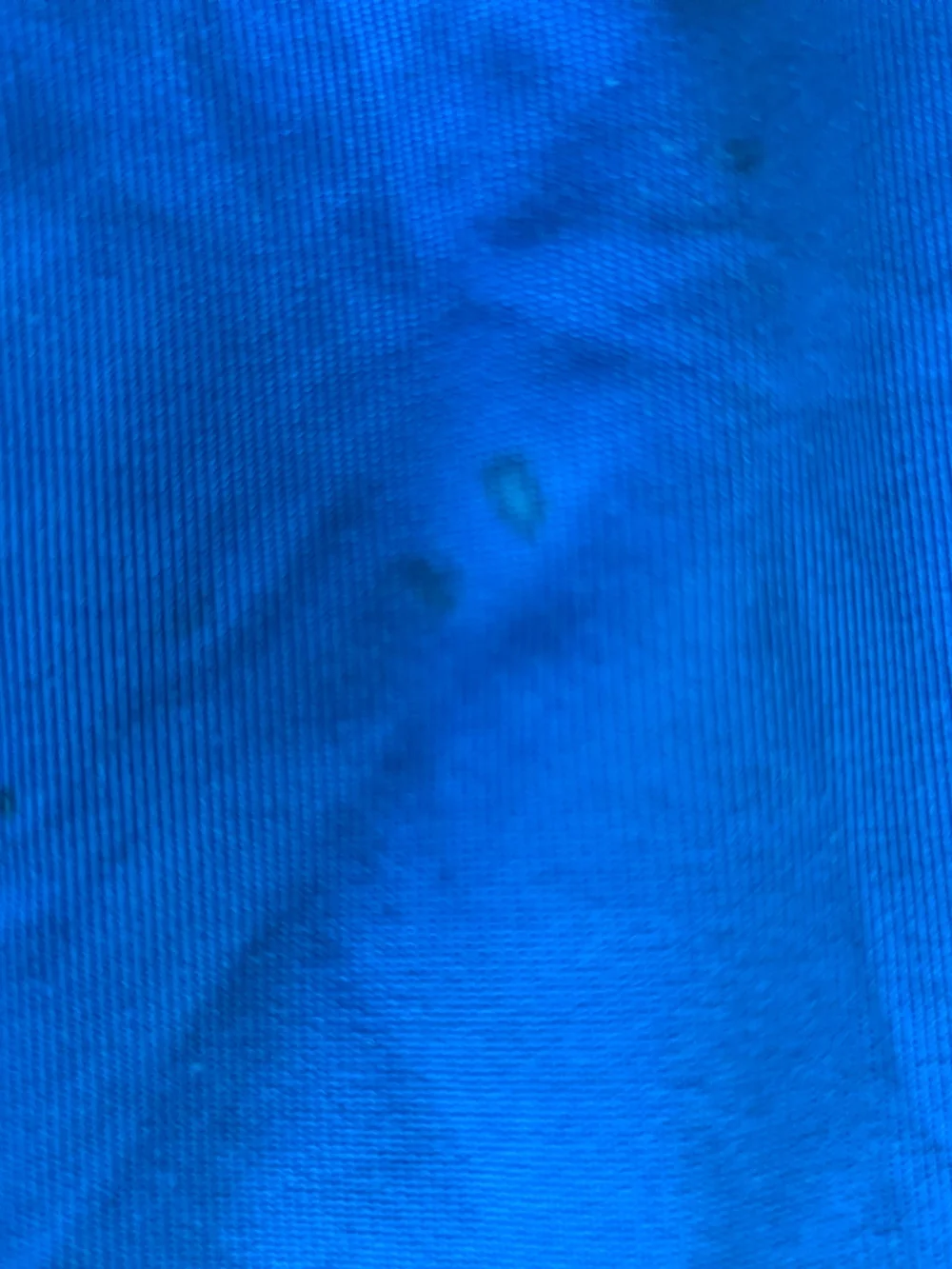 Patagonia baby capilene